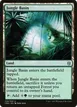 Jungle Basin #258