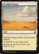 Secluded Steppe #270