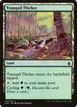 Tranquil Thicket #279