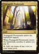 Transguild Promenade #280