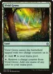 Vivid Grove #281