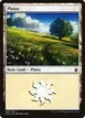 Plains #286