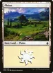 Plains #289