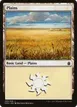 Plains #290