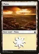 Plains #291
