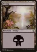Swamp #300