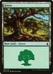 Forest #309