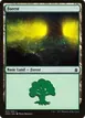 Forest #313