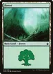 Forest #319