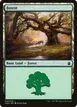 Forest #320