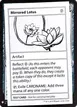 Mirrored Lotus #107