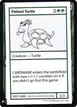 Patient Turtle #82