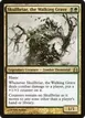 Skullbriar, the Walking Grave #227