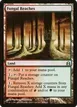 Fungal Reaches #274