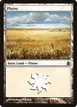 Plains #302