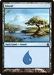 Island #303
