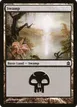 Swamp #307