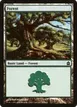 Forest #315