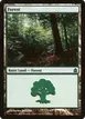 Forest #316