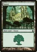 Forest #318