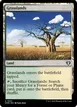 Grasslands #1002