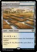 Irrigated Farmland #1005