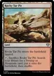 Rocky Tar Pit #1021