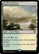 Scattered Groves #1026