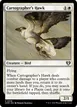 Cartographer's Hawk #18