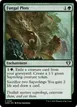 Fungal Plots #291