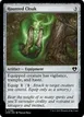 Haunted Cloak #389