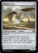 Pilgrim's Eye #402