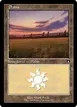 Plains #439