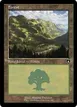Forest #449