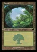 Forest #451