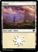 Plains #784