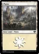 Plains #785
