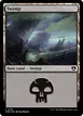 Swamp #791