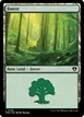 Forest #799