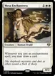 Mesa Enchantress #828