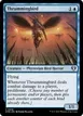 Thrummingbird #858