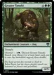 Greater Tanuki #897