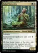 Jukai Naturalist #926