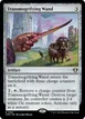 Transmogrifying Wand #981