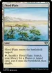 Flood Plain #994