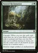 Natural Reclamation #245