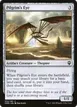 Pilgrim's Eye #332