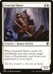 Ironclad Slayer #376