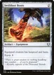 Swiftfoot Boots #474