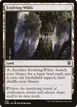 Evolving Wilds #482